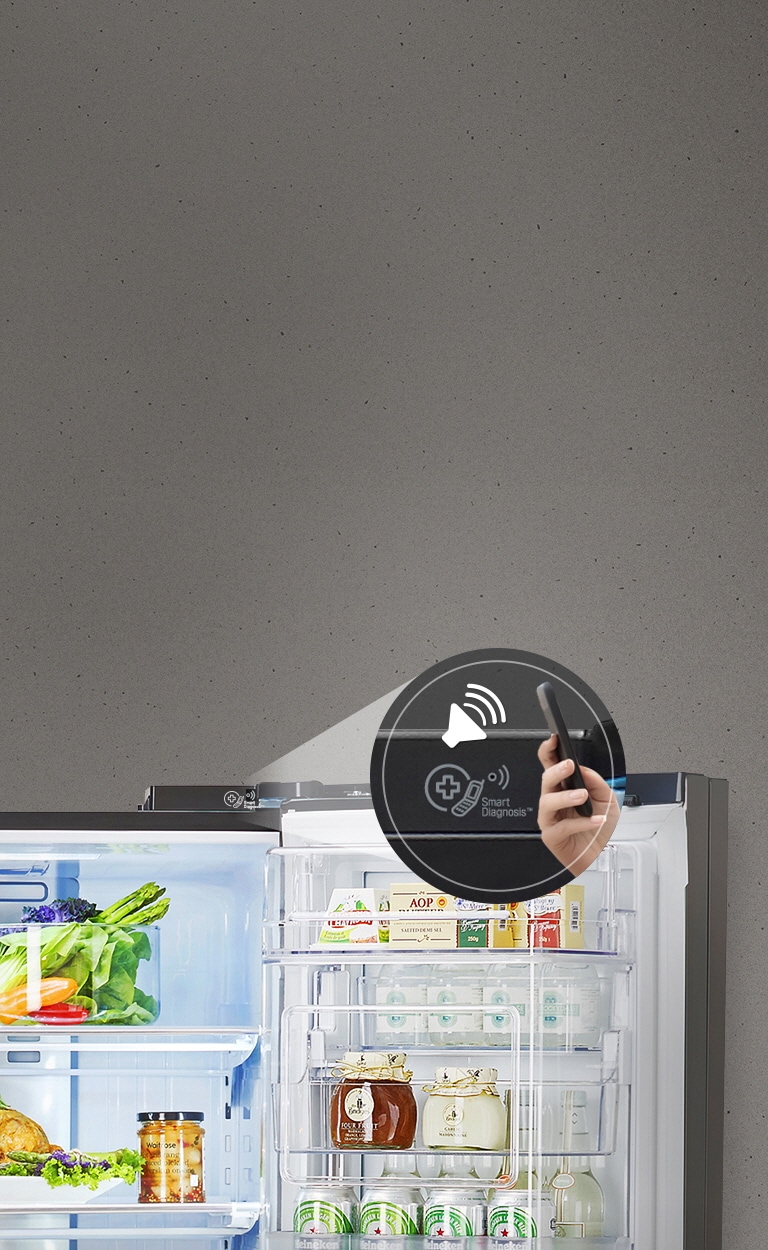 سیستم عیب یابی هوشمند